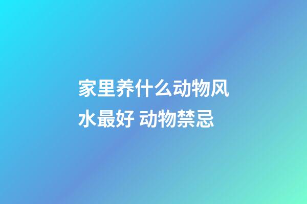 家里养什么动物风水最好 动物禁忌